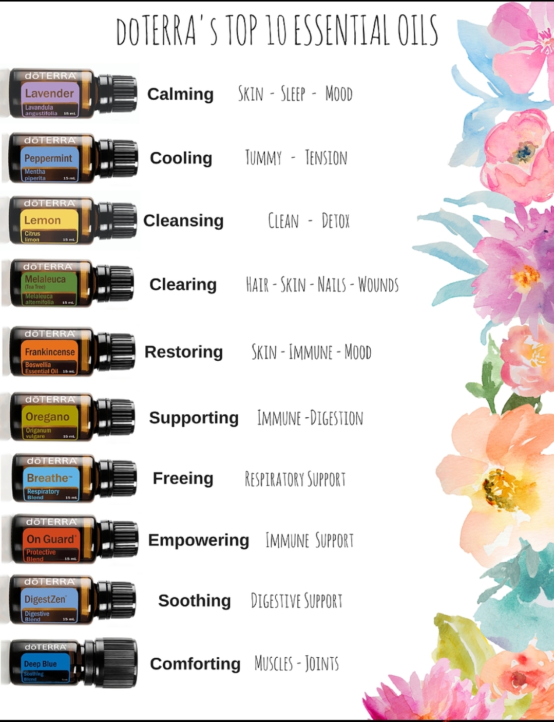 DoTerra Essential Oils – Kindred Wellness Cafe